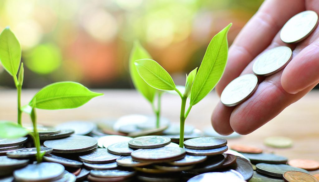 Visual representation of Translation ROI