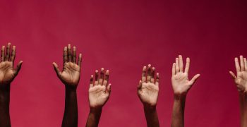 What is a Language Family?