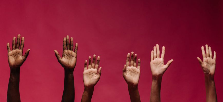 What is a Language Family?
