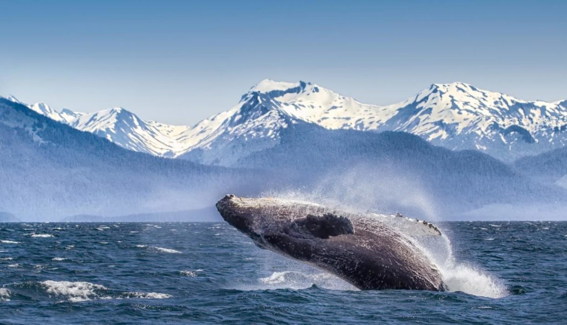 alaska