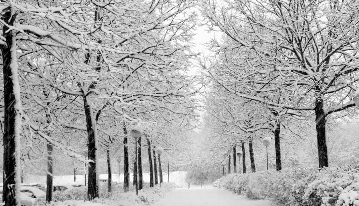 cold-weather
