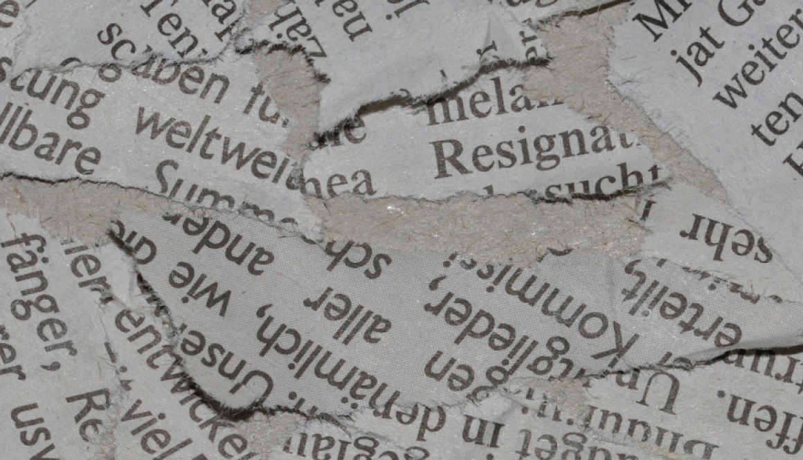 d8 hero newspaper - second try