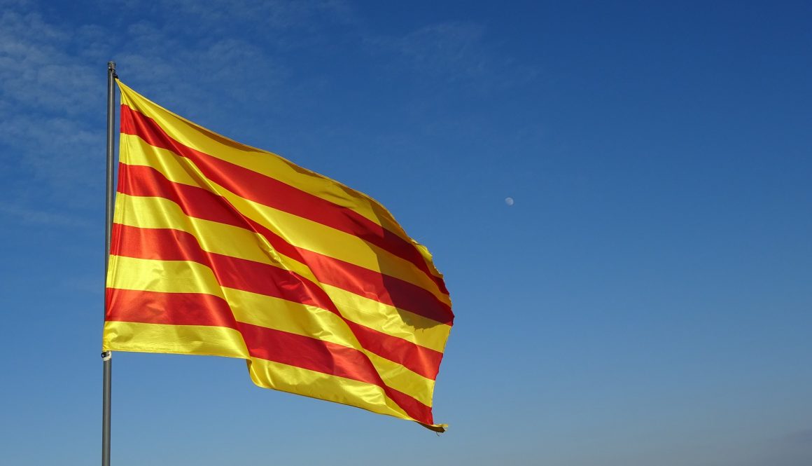 translate from Catalan to English