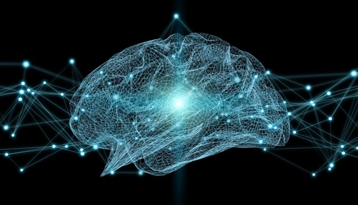 Human Language Pathway