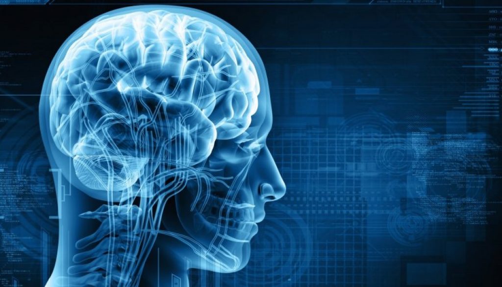 The Assembly Calculus – graphic representing the human brain.