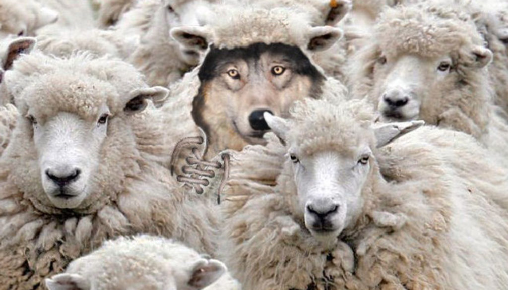 False friends and cognates