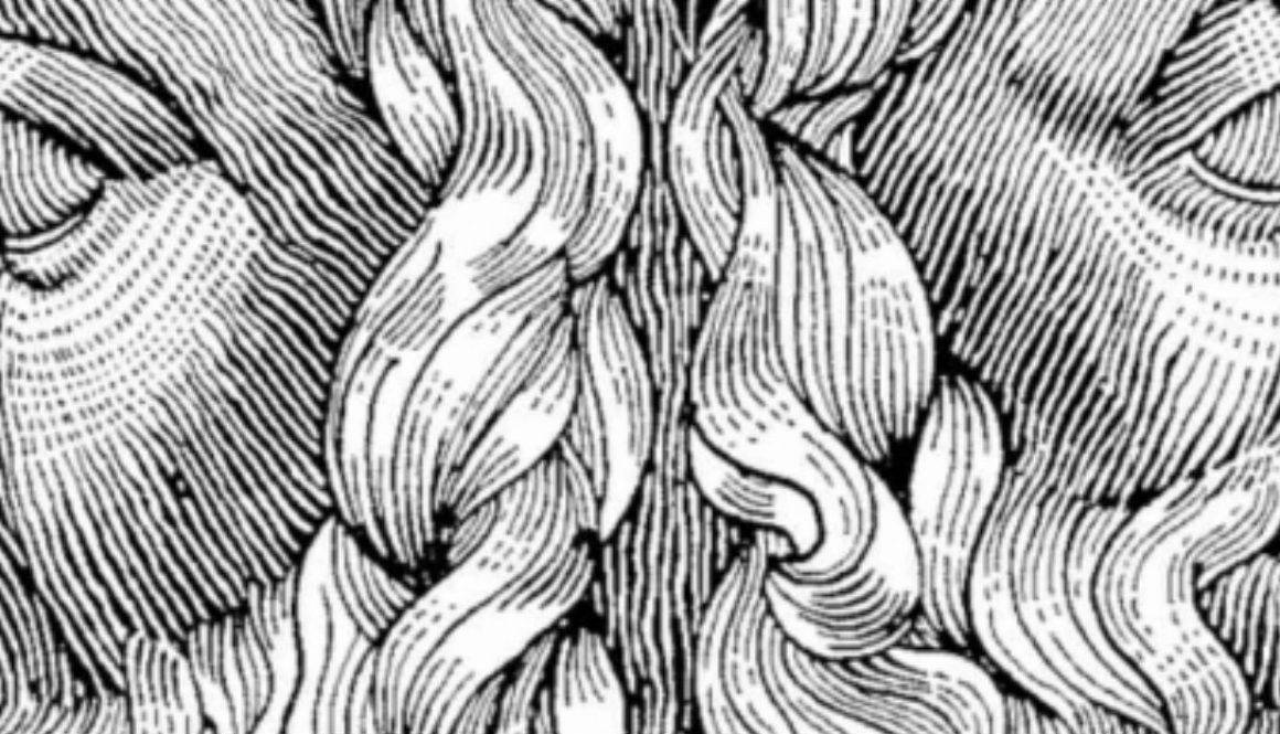 Janus Words
