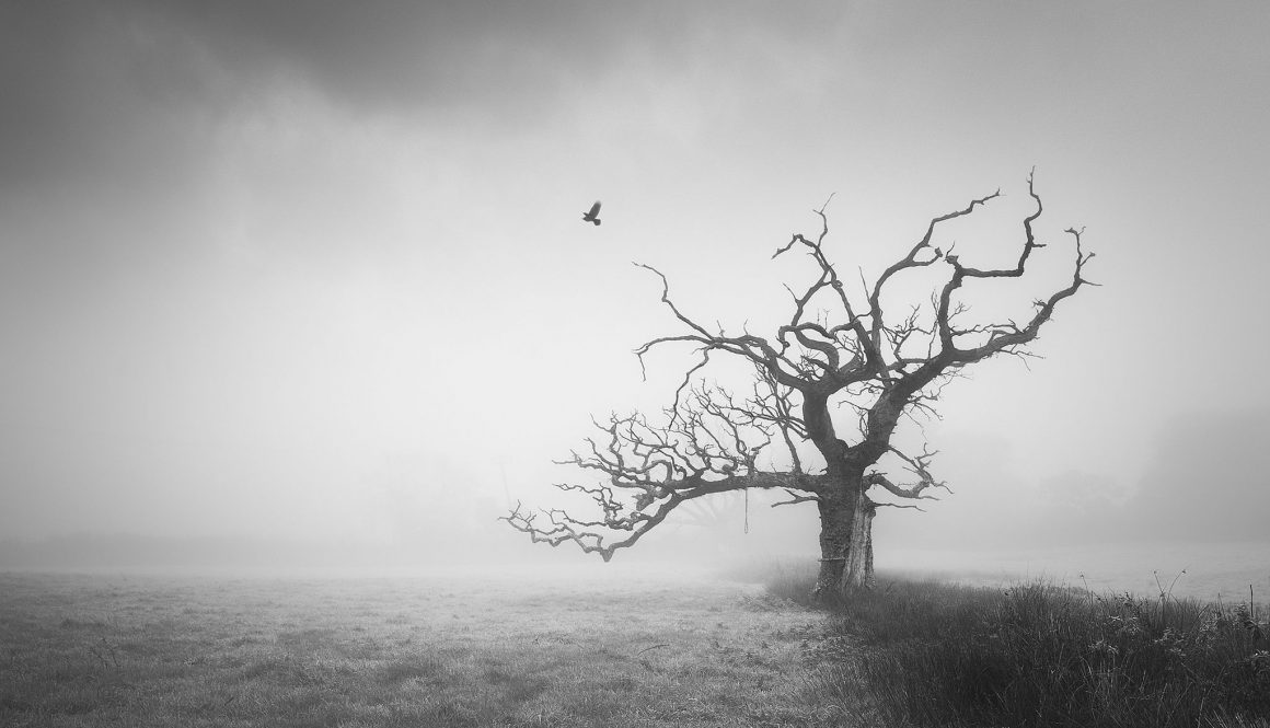 A sinister history