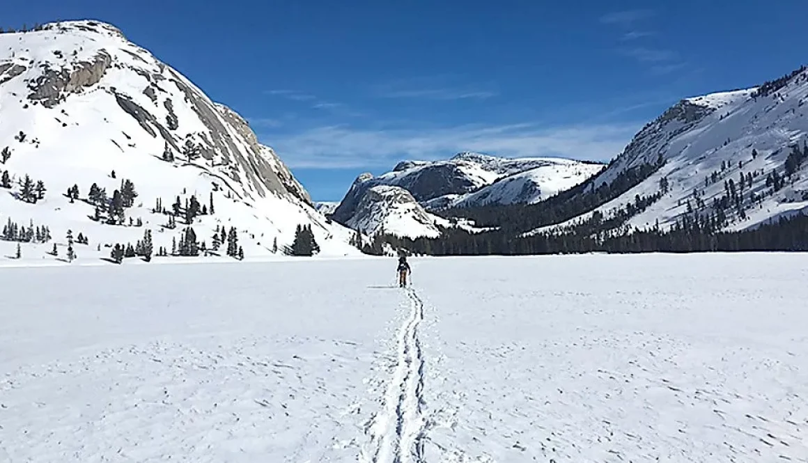 There are many types, and words for snow