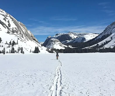 There are many types, and words for snow