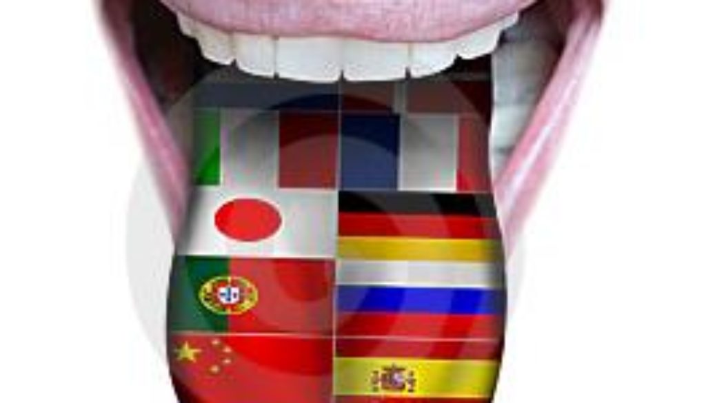 lengua idioma