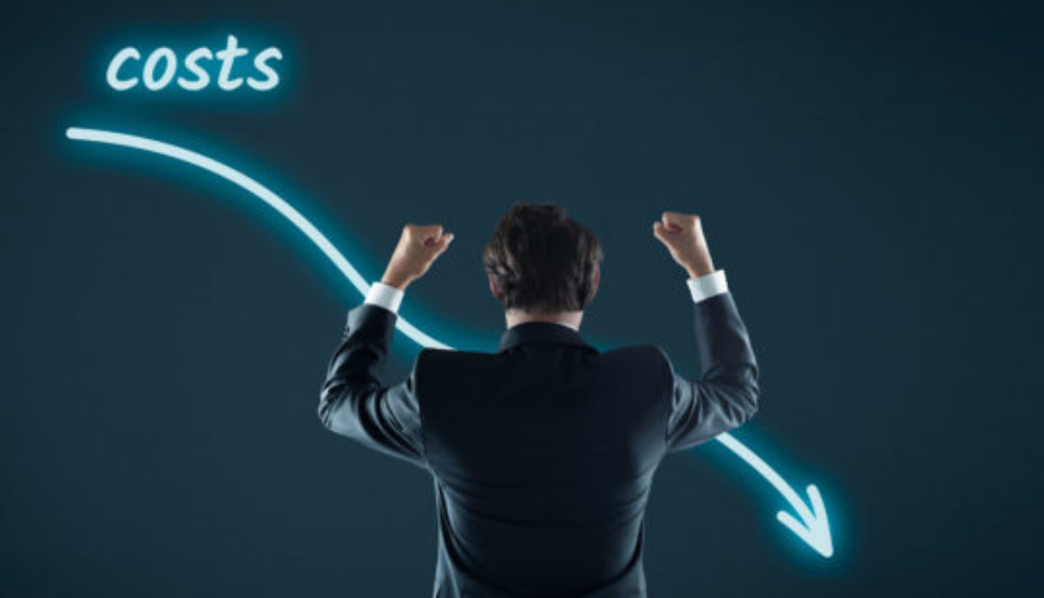 reduce translation costs