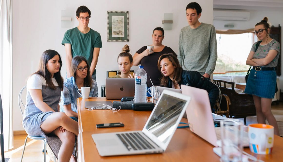 translation internship