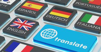 How to obtain a Word Count for translation